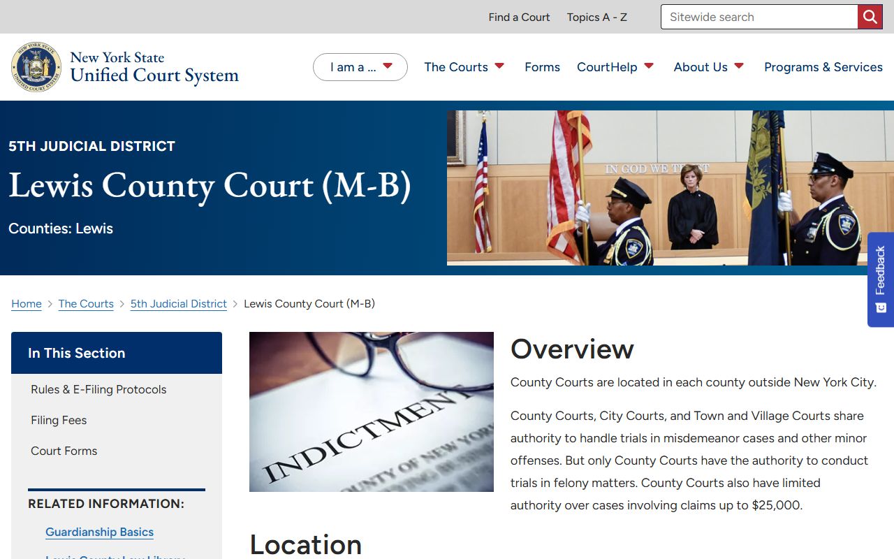 Lewis County court records after jail arrest court page